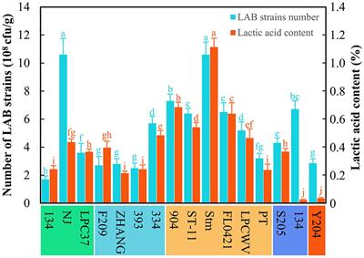 Optimizing the scale-up production of fermented astragalus and its benefits to the performance and egg quality of laying hens